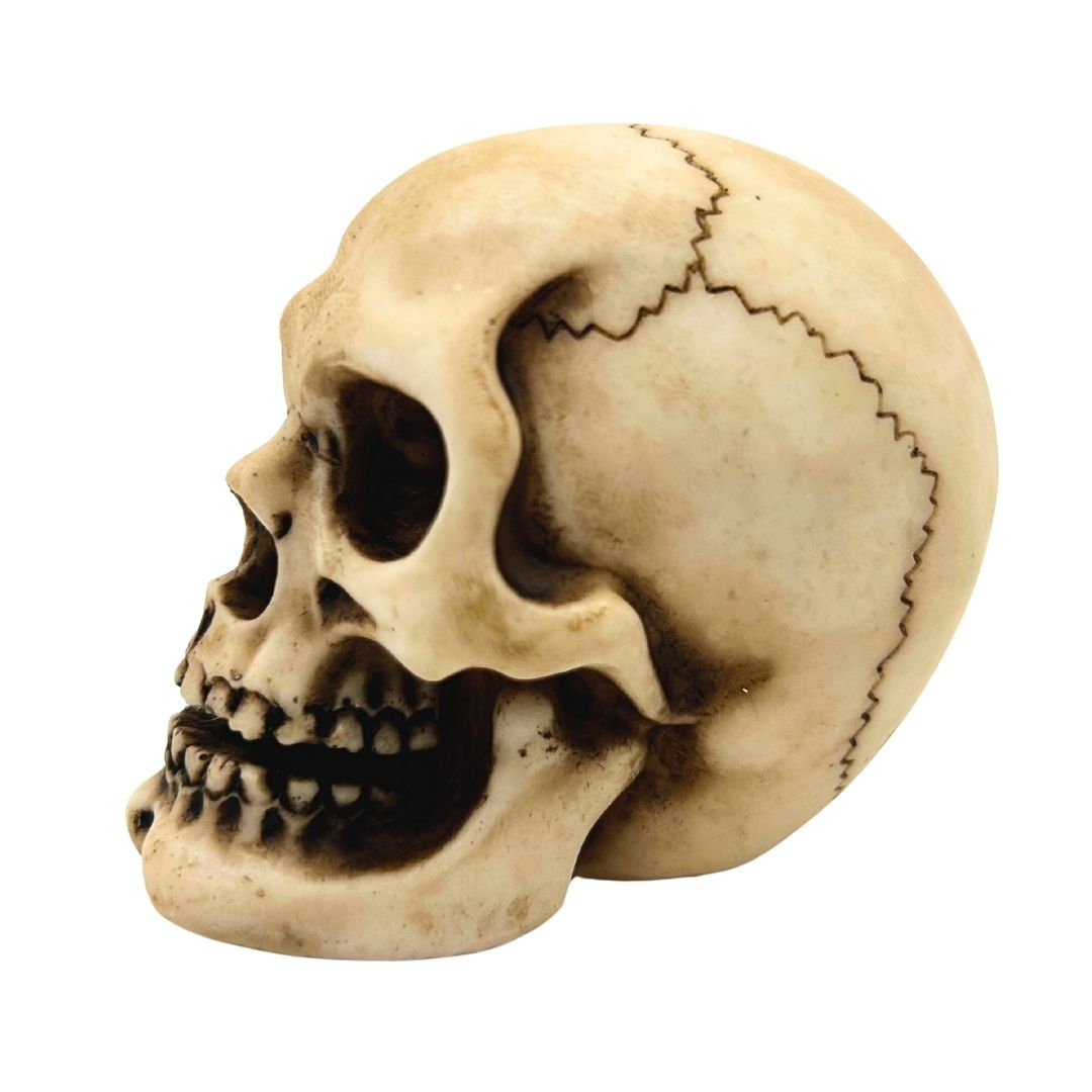Figura de calavera de poliéster con opción de grabado personalizado
