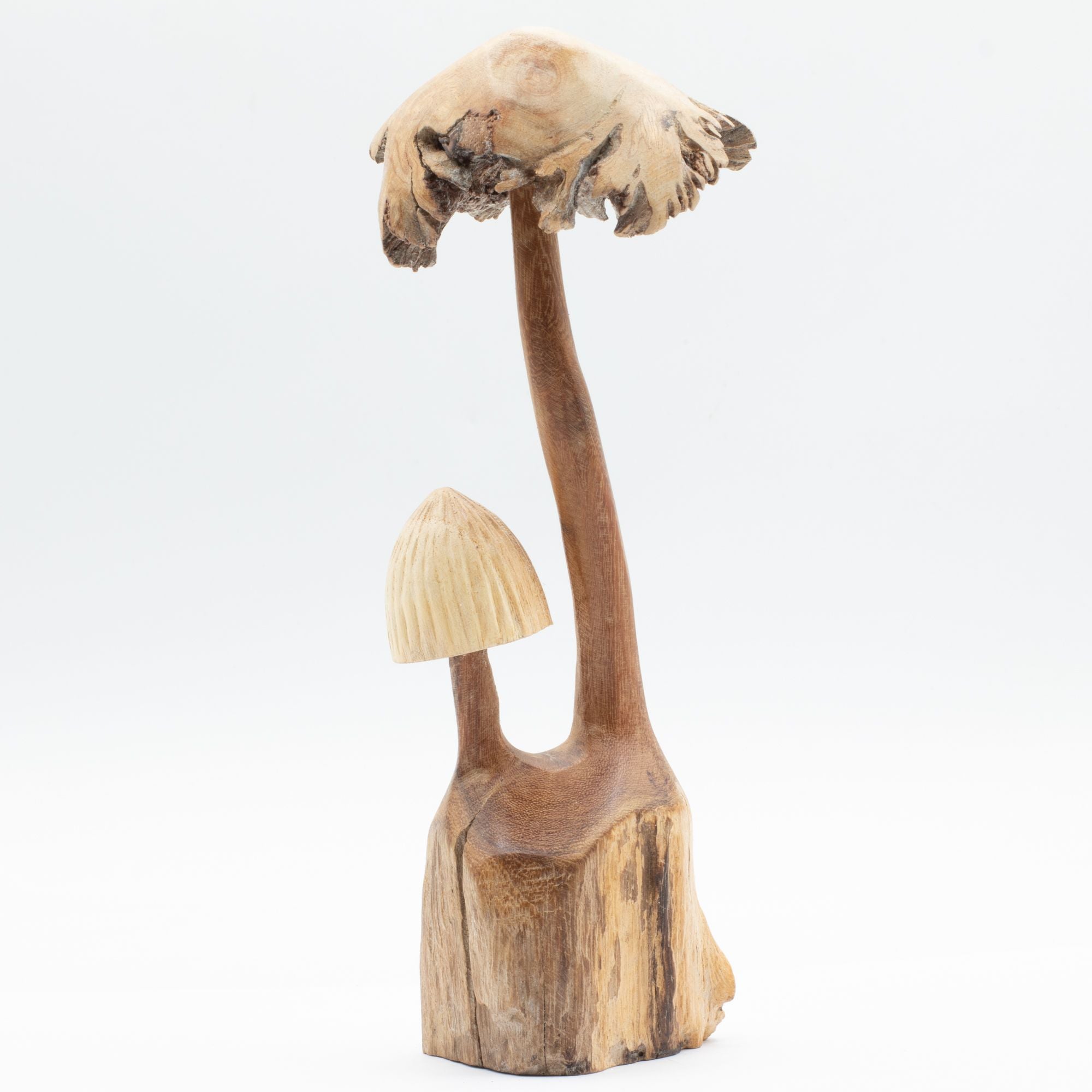 Escultura artesanal en madera parasitaria