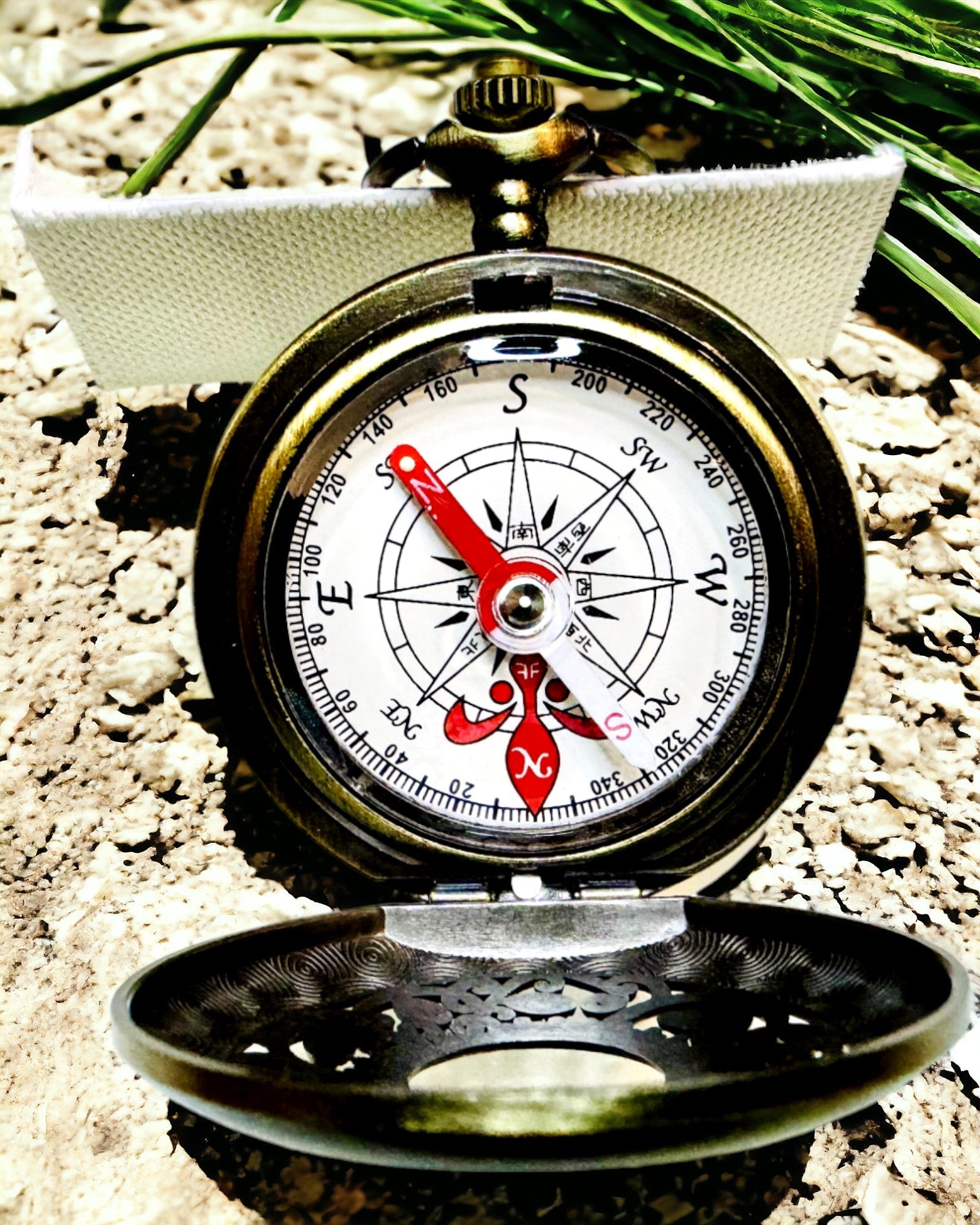 Brújula de Navegación de Estilo Vintage con Diseño Calado – color marrón-dorado