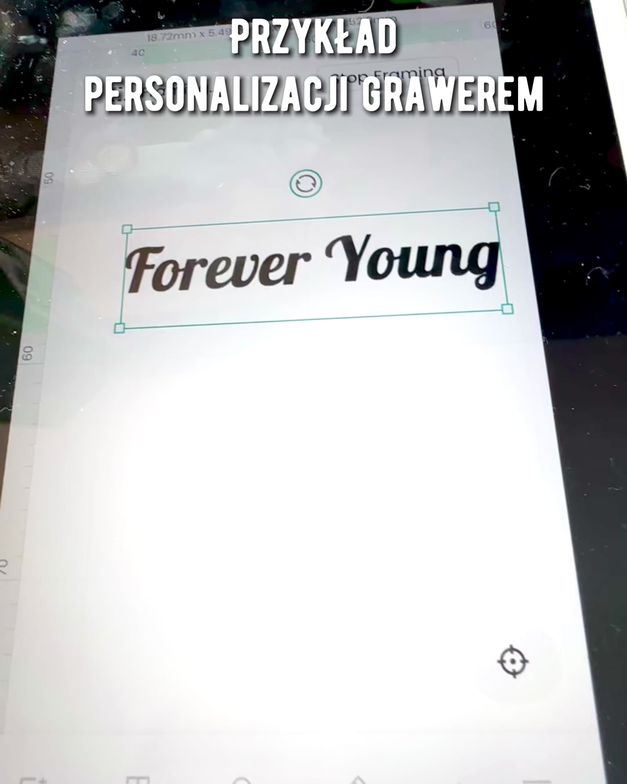 Pluma de Caligrafía Vintage con Pluma de Ganso Natural – Regalo Ideal para el Día de la Madre o del Maestro. Grabado
