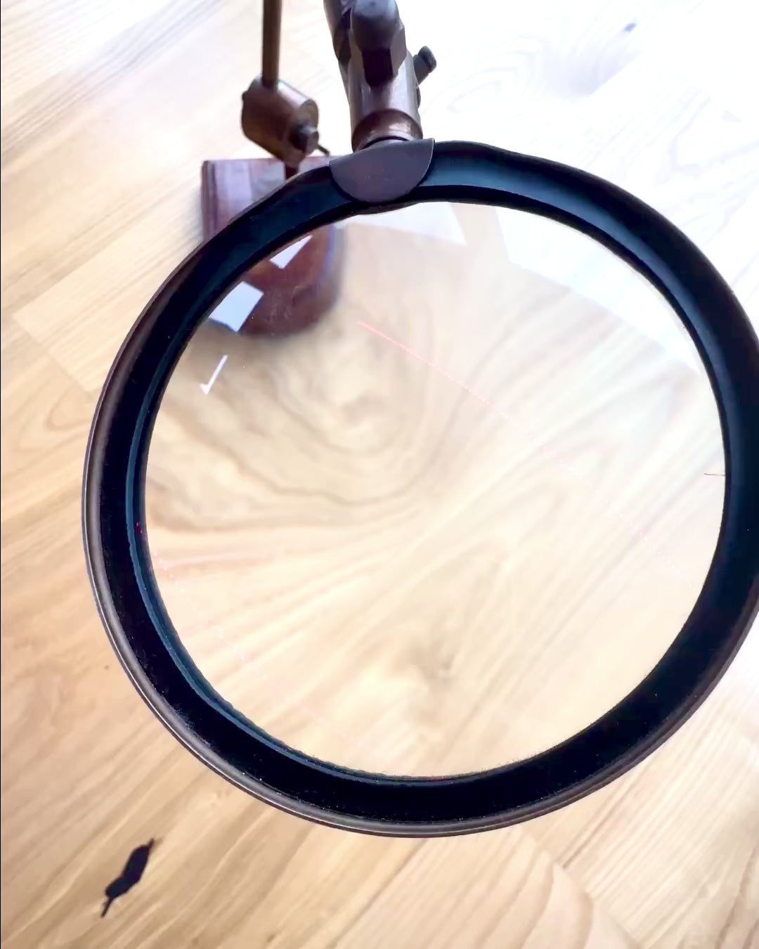 Lupa artesanal "Royal Magnifier" con base y soporte ajustable - posibilidad de personalización con grabado para regalo