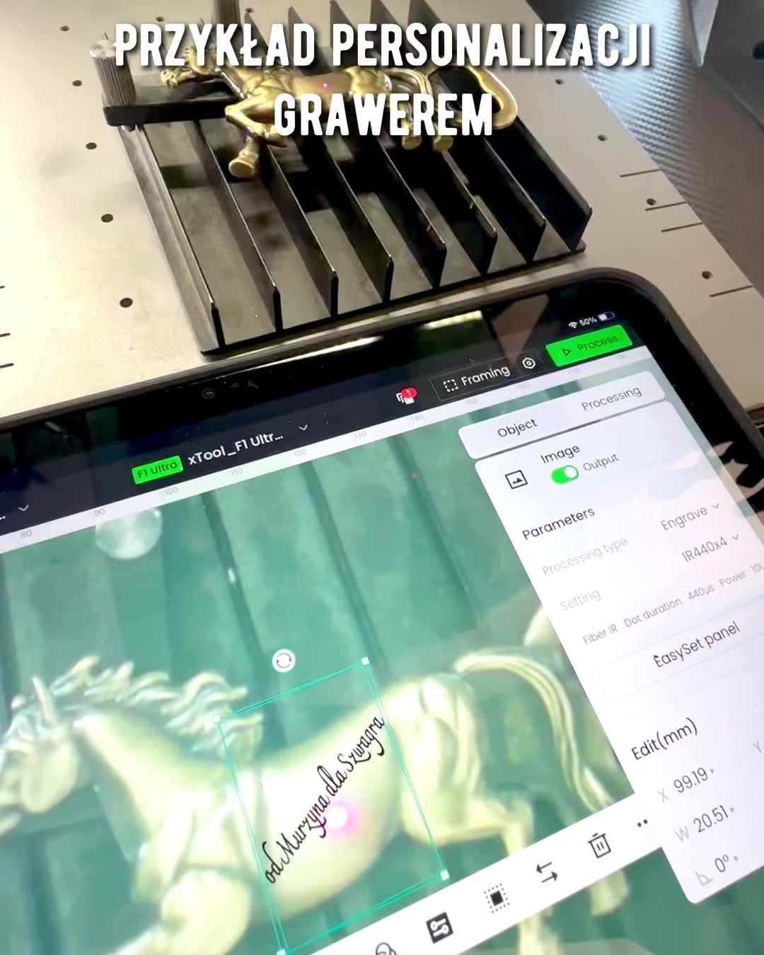 Abrebotellas Vintage Animales - 7 variantes, personalización con grabado para regalo