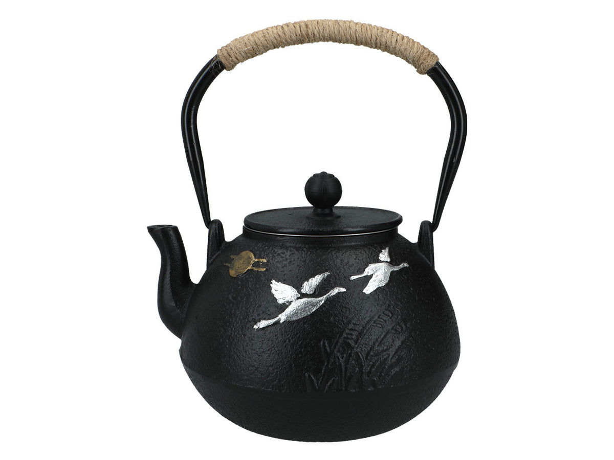 Tetera de hierro fundido con interior esmaltado de 1200ml y filtro para té