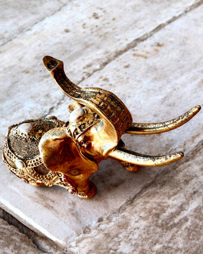 Elefante Real con Posibilidad de Grabado - Elegancia y Lujo, personalización para regalo