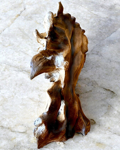 Figura de Resina de Coraje de León, 28 cm de altura, con opción de grabado para regalo