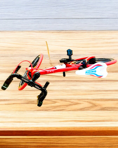 Modelo en miniatura de bicicleta roja de metal "SpeedMaster" personalización con grabado para regalo, 2 variantes de color