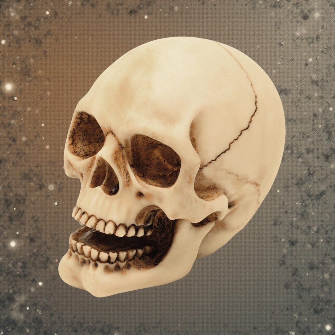 Figura de calavera de 10 cm con posibilidad de grabado: decoración pintada a mano de poliresina, un regalo para amantes del estilo gótico y oscuro