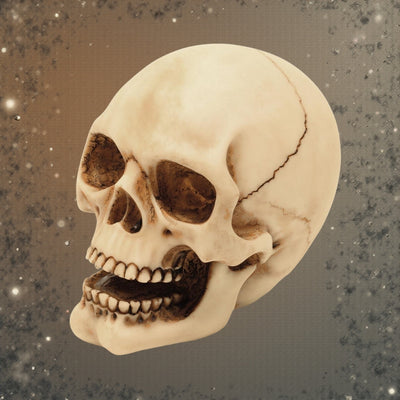 Figura de calavera de 10 cm con posibilidad de grabado: decoración pintada a mano de poliresina, un regalo para amantes del estilo gótico y oscuro