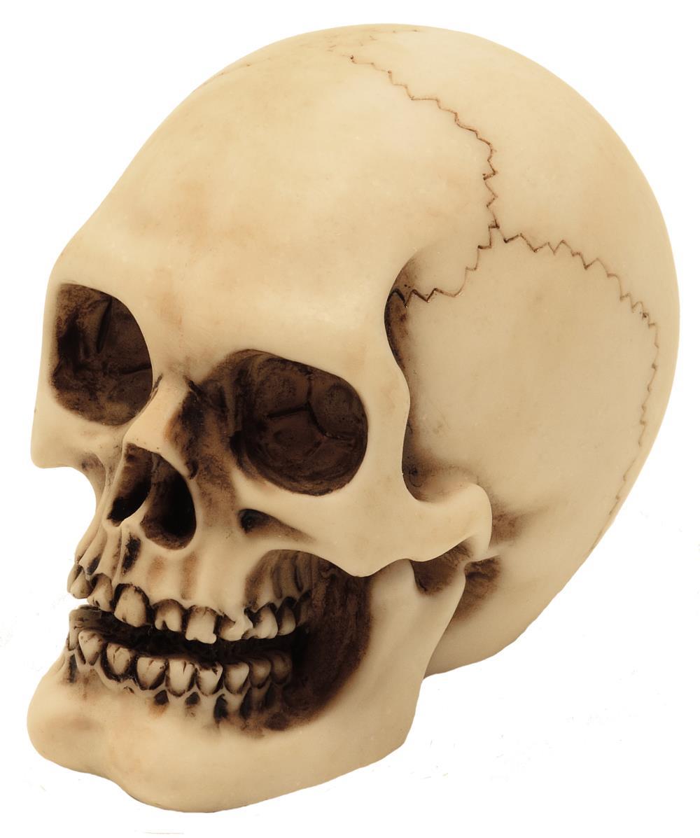 Figura de calavera de poliéster con opción de grabado personalizado