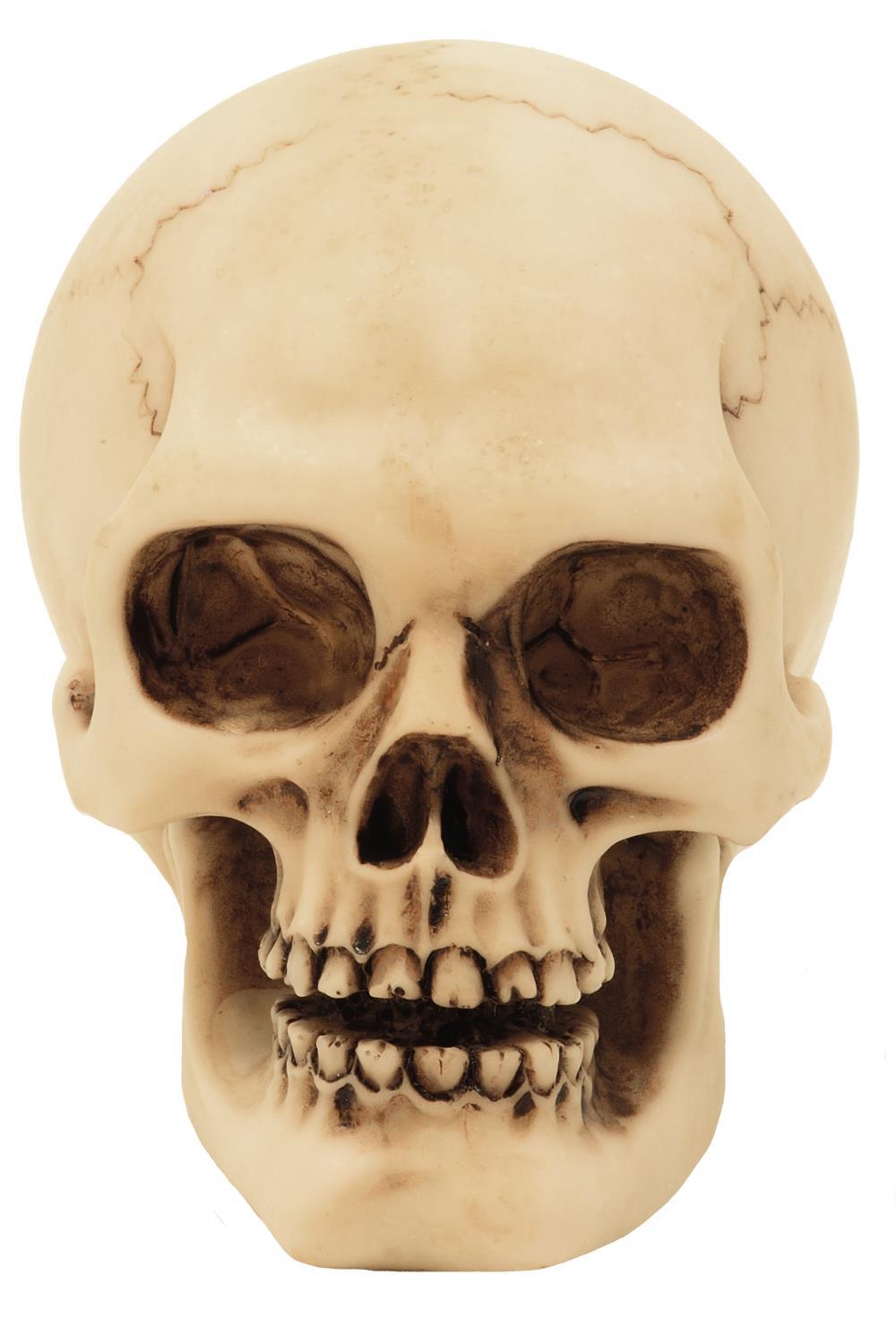 Figura de calavera de poliéster con opción de grabado personalizado