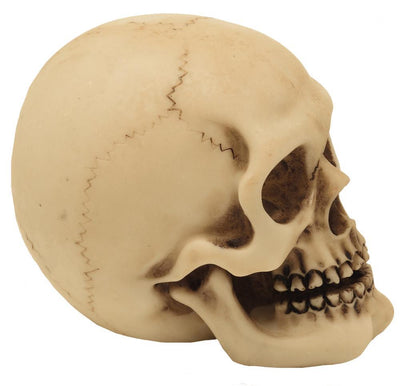 Figura de calavera de poliéster con opción de grabado personalizado