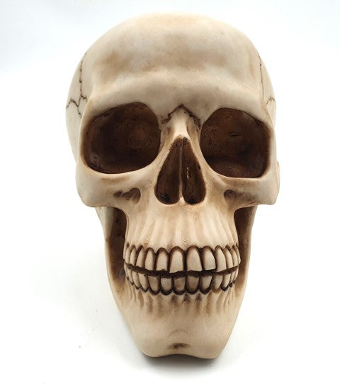 Figura decorativa de calavera de 15 cm de poliéster con opción de grabado personalizado