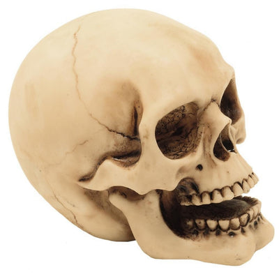 Figura de calavera de 10 cm con posibilidad de grabado: decoración pintada a mano de poliresina, un regalo para amantes del estilo gótico y oscuro