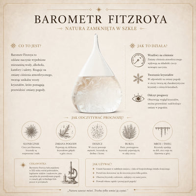 Barómetro de tormenta Fitzroya en marco de madera - Gota Storm Glass con posibilidad de personalización con grabado - regalo ideal para cualquier ocasión - estación meteorológica elegante en estilo moderno con cristales que reaccionan a cambios climáticos
