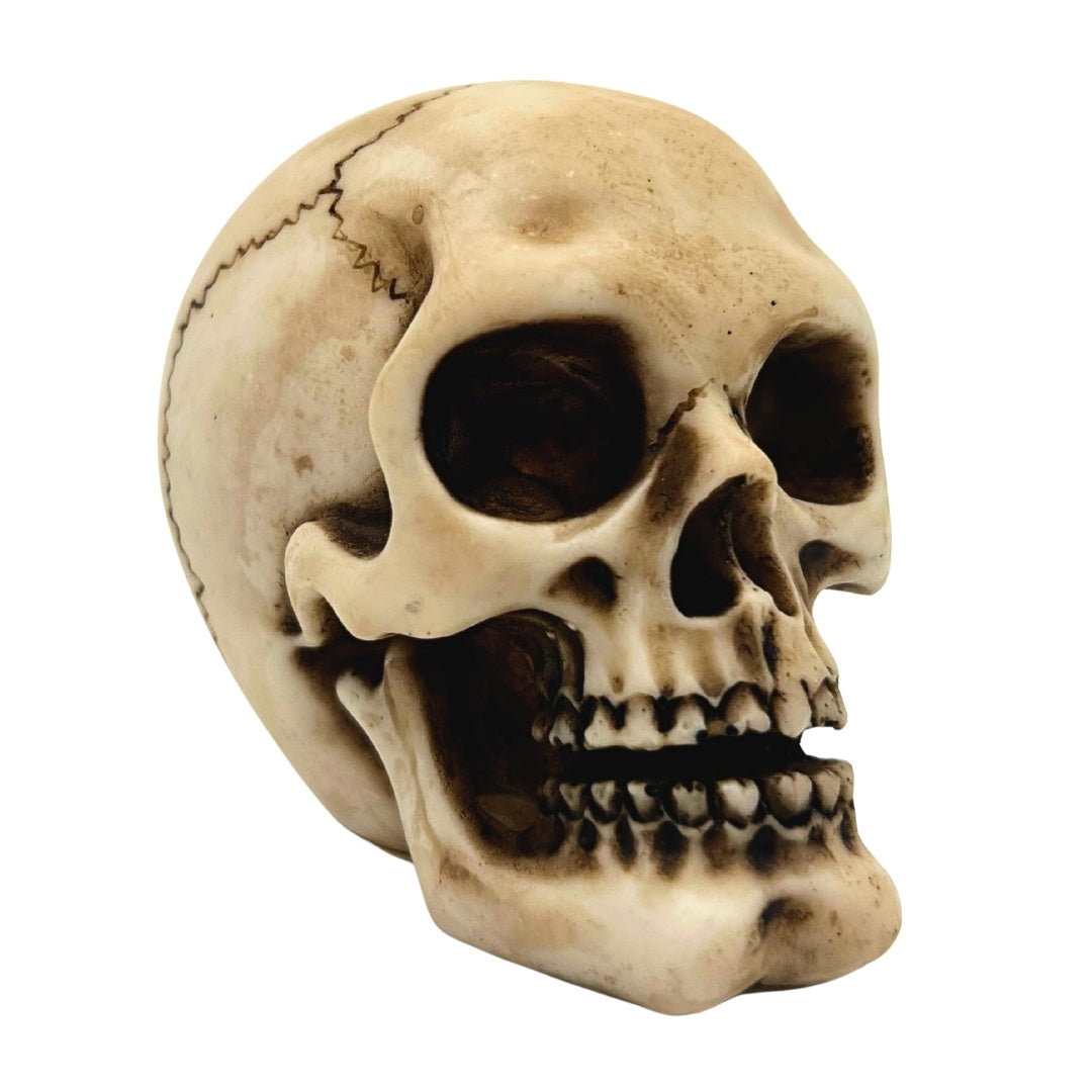 Figura de calavera de poliéster con opción de grabado personalizado
