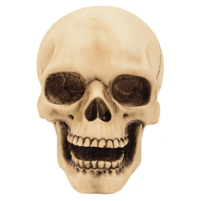 Figura de calavera de 10 cm con posibilidad de grabado: decoración pintada a mano de poliresina, un regalo para amantes del estilo gótico y oscuro