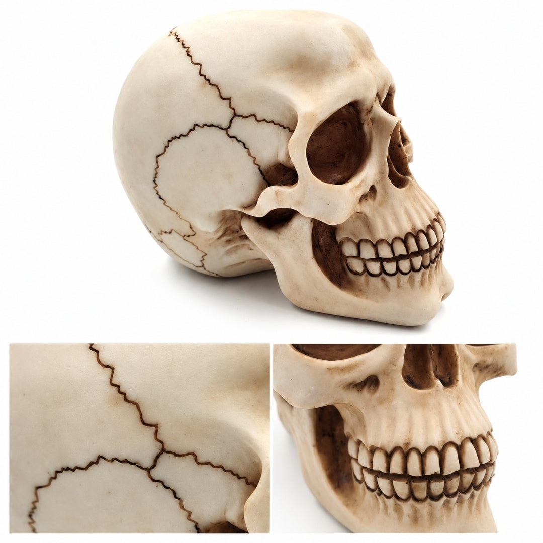 Figura decorativa de calavera de 15 cm de poliéster con opción de grabado personalizado