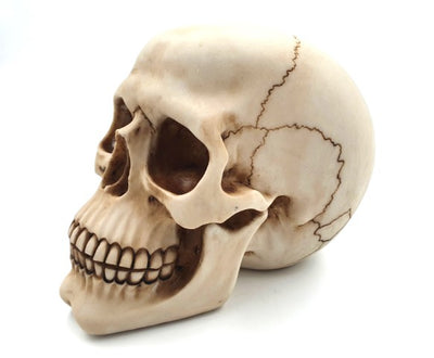 Figura decorativa de calavera de 15 cm de poliéster con opción de grabado personalizado