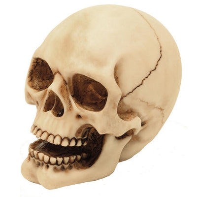 Figura de calavera de 10 cm con posibilidad de grabado: decoración pintada a mano de poliresina, un regalo para amantes del estilo gótico y oscuro