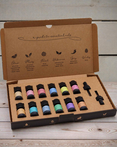Armonía otoñal de la naturaleza – juego de lujo de 12 aceites esenciales de 5 ml con pipetas