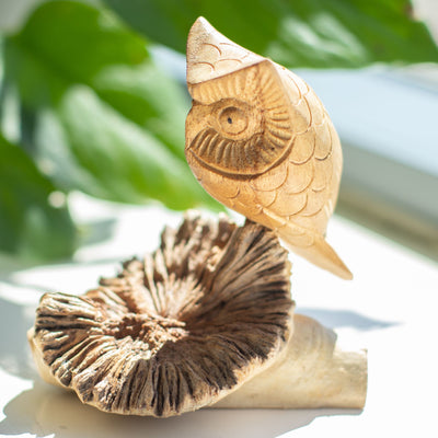 Escultura de búho hecha a mano en nudo de madera - Figura única para regalo, altura 11 cm, tonos naturales de Indonesia