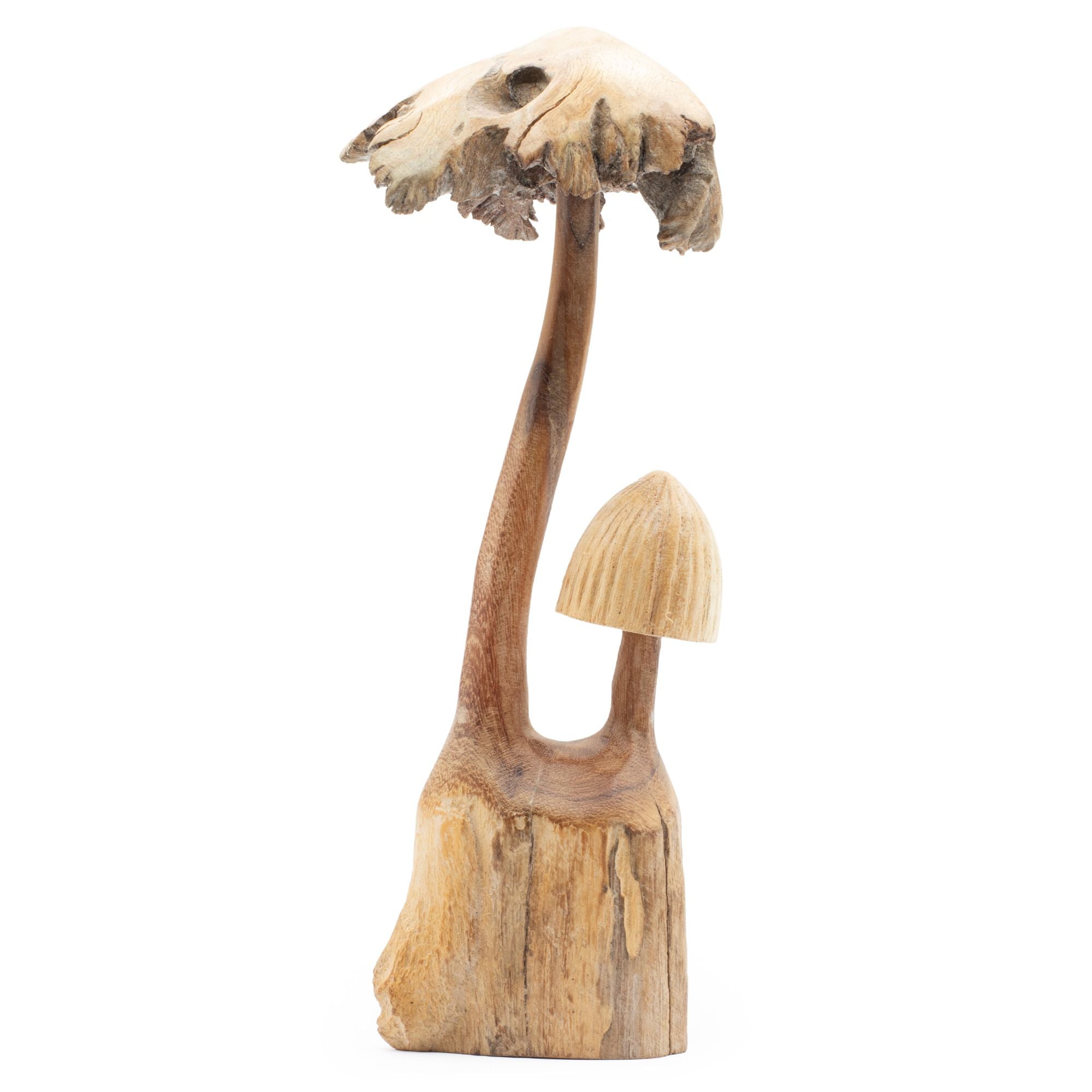 Escultura artesanal en madera parasitaria  