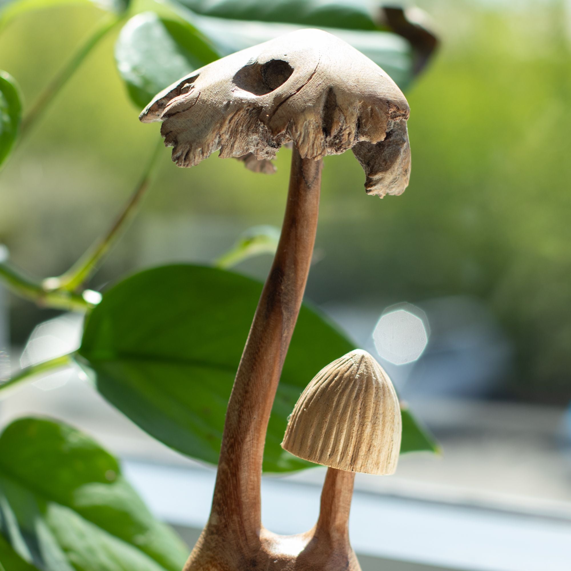 Escultura artesanal en madera parasitaria  