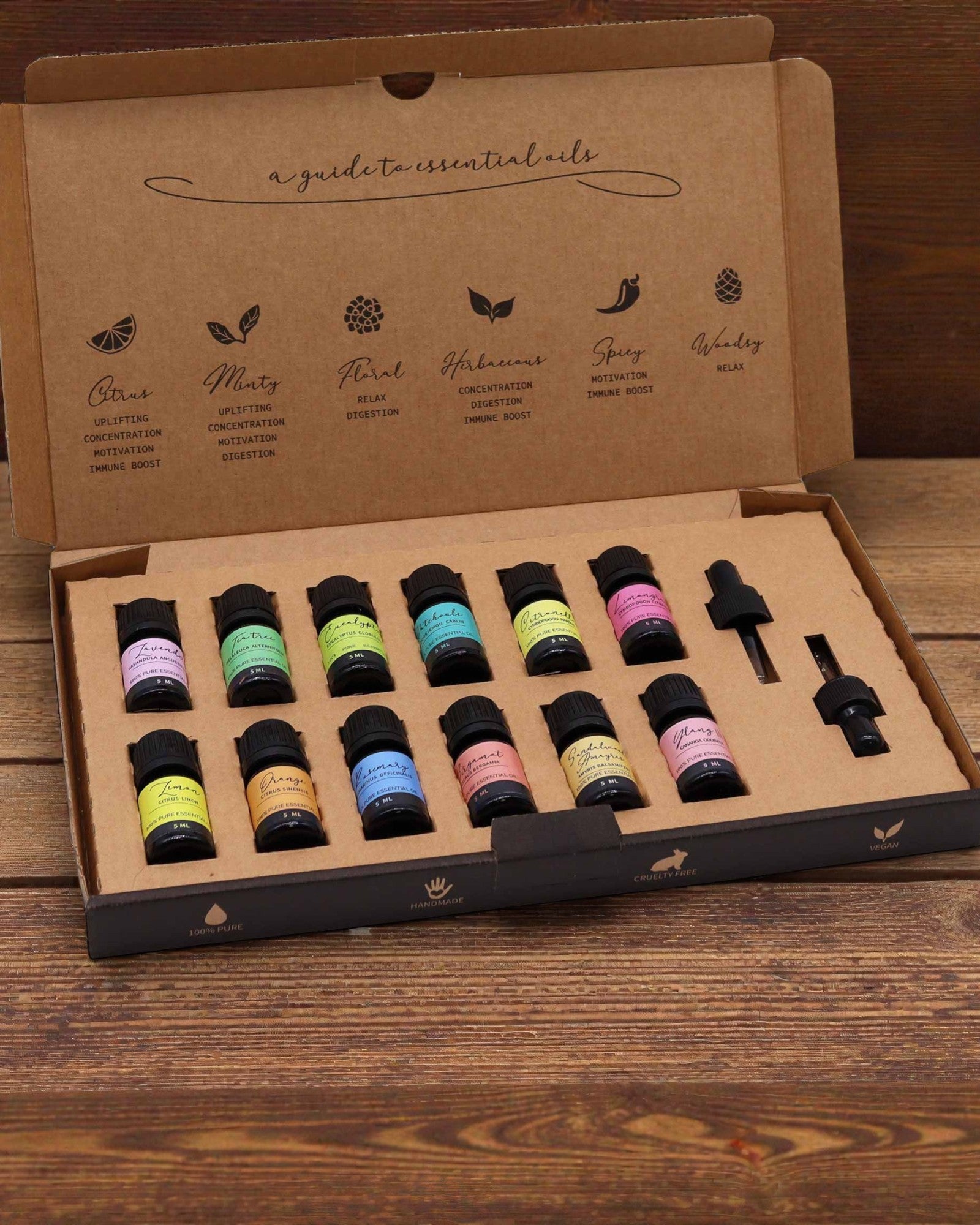 Esencia del Mundo – Lujoso conjunto de 12 aceites esenciales 5 ml más populares con cuentagotas