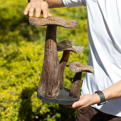 Gran escultura de hongo dorado de 32 cm - Madera natural - Elemento decorativo único para regalo - Estilo bosque, rústico y moderno