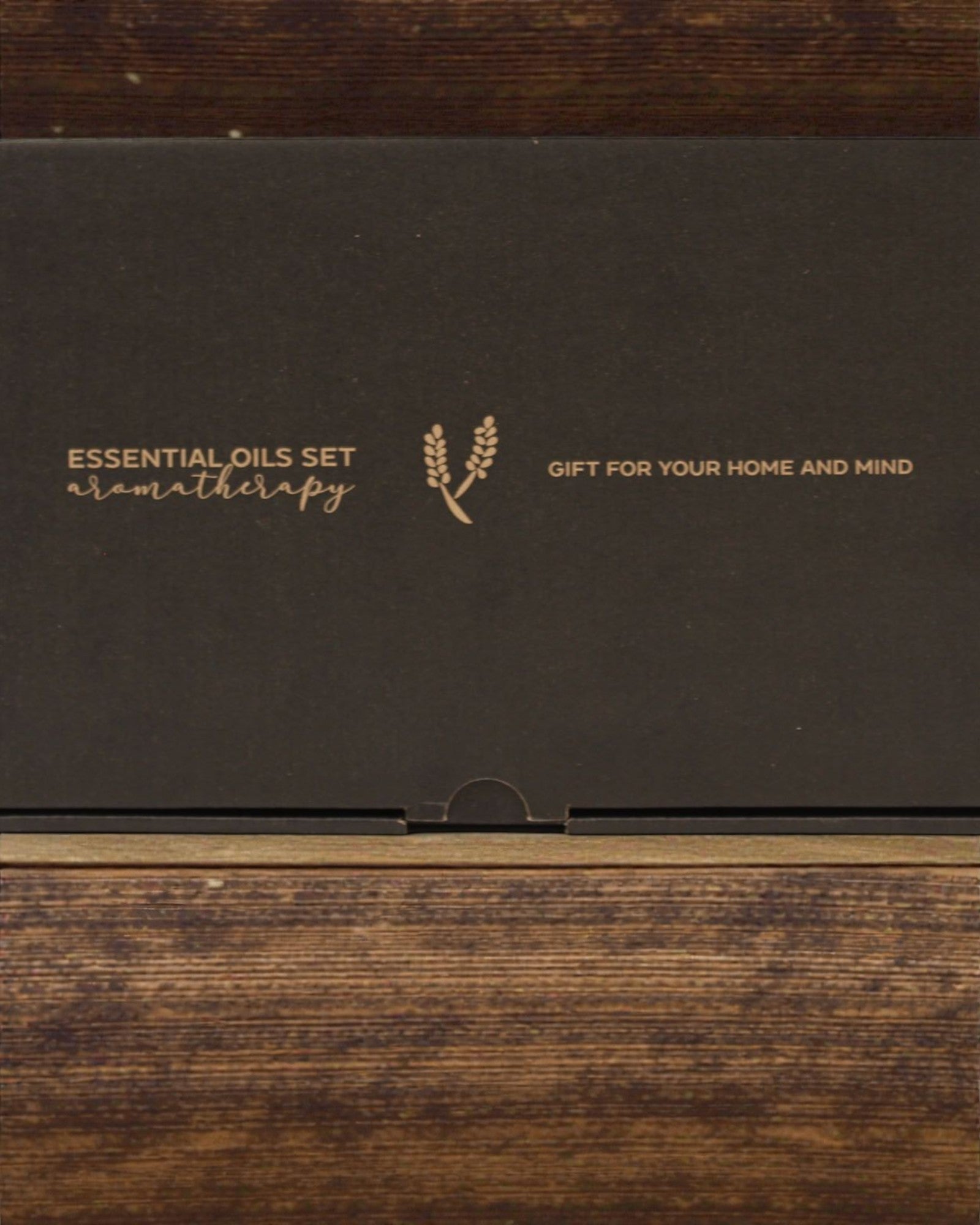 Esencia del Mundo – Lujoso conjunto de 12 aceites esenciales 5 ml más populares con cuentagotas