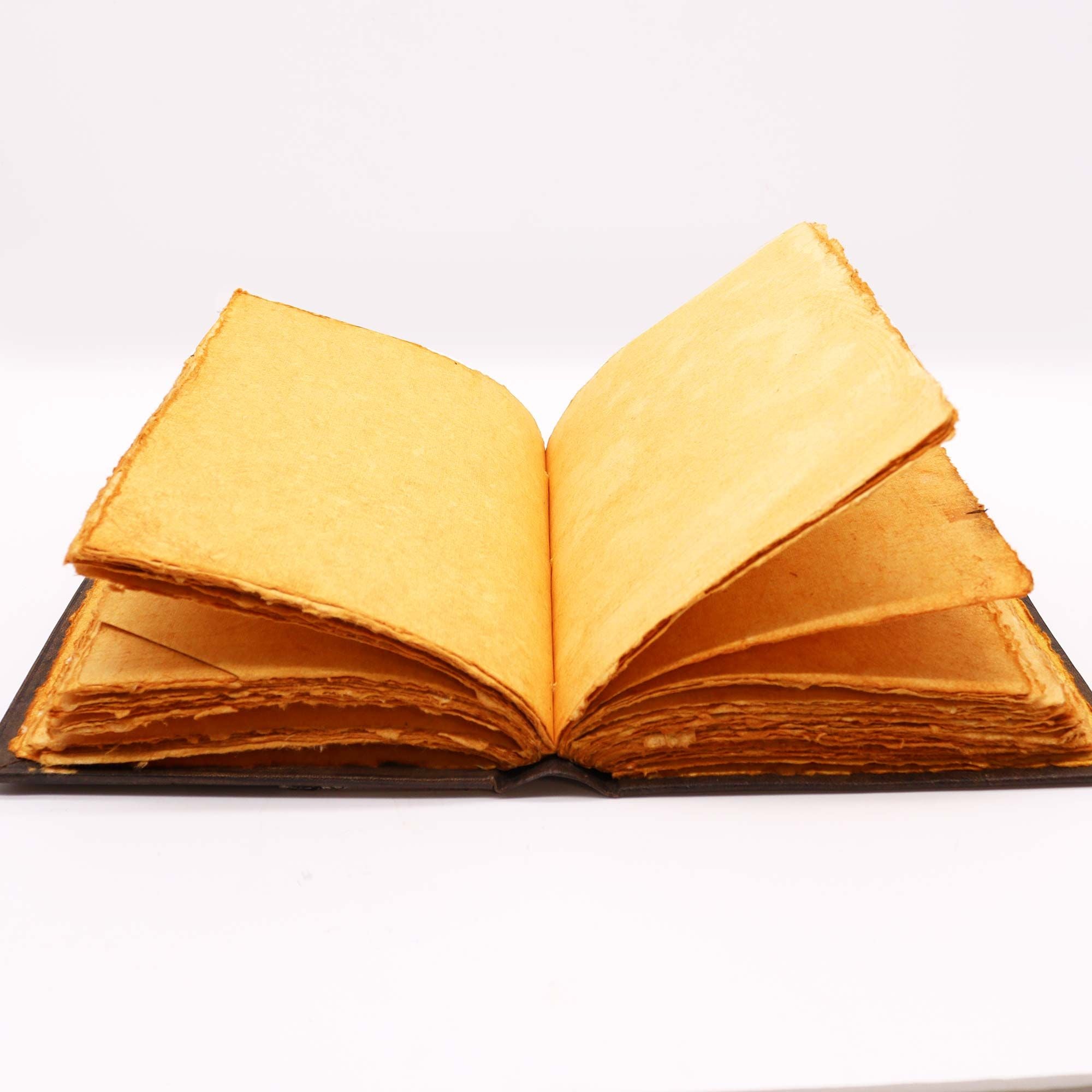 Cuaderno Hefty Brown Tan con Luna Trifásica