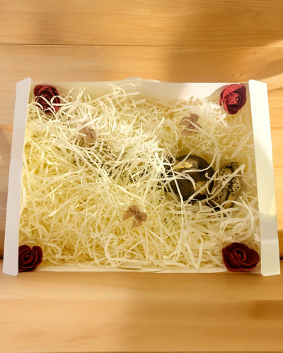 Envoltorio de regalos