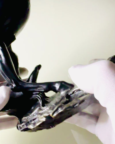 Czarna Perła - Escultura de Caballo Elegancia en Movimiento - Posibilidad de Grabado