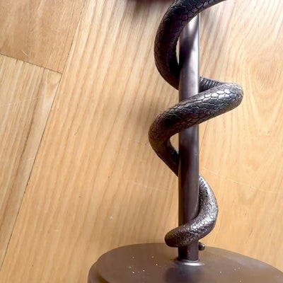 Figura del Bastón de Asclepio de 30 cm de resina - regalo personalizado para médico, enfermera o farmacéutico - decoración marrón/latón con grabado