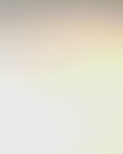 "Królewski Ryk" Bolso Cuadrado de Hombro con Cabeza de León